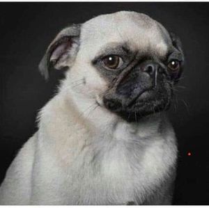 Meet your Posher, Lynn